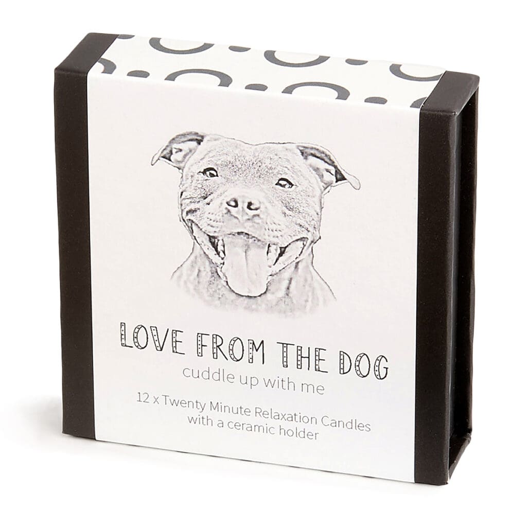 Staffordshire Dog with 20 Picks in Gift Box main image 0