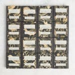 Signature Collection - BUNDLE (Folk)