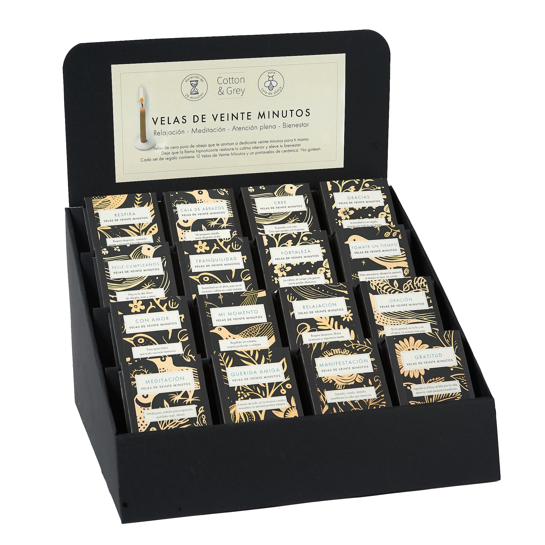 Signature Collection BUNDLE (Folk) ES