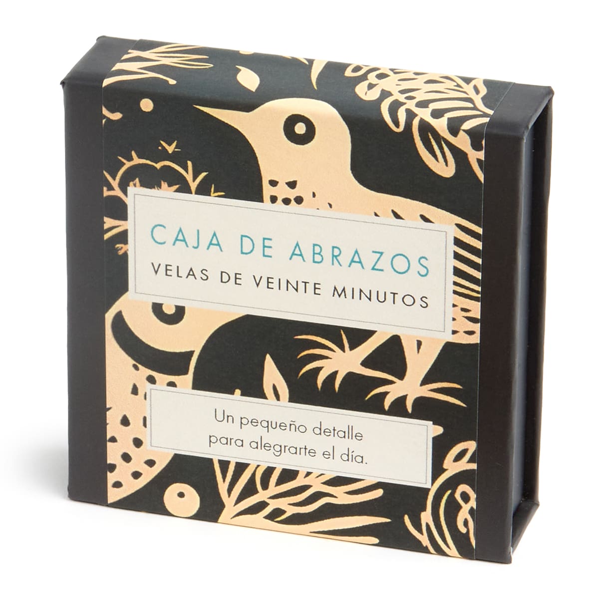 Signature Collection - Hug in a Box (Folk) ES