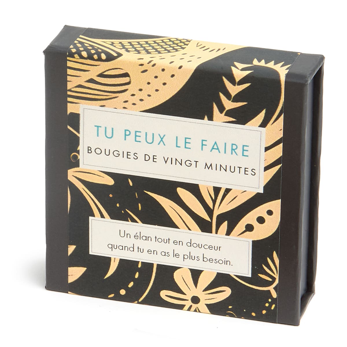 Signature Collection - You've Got This (Folk) FR