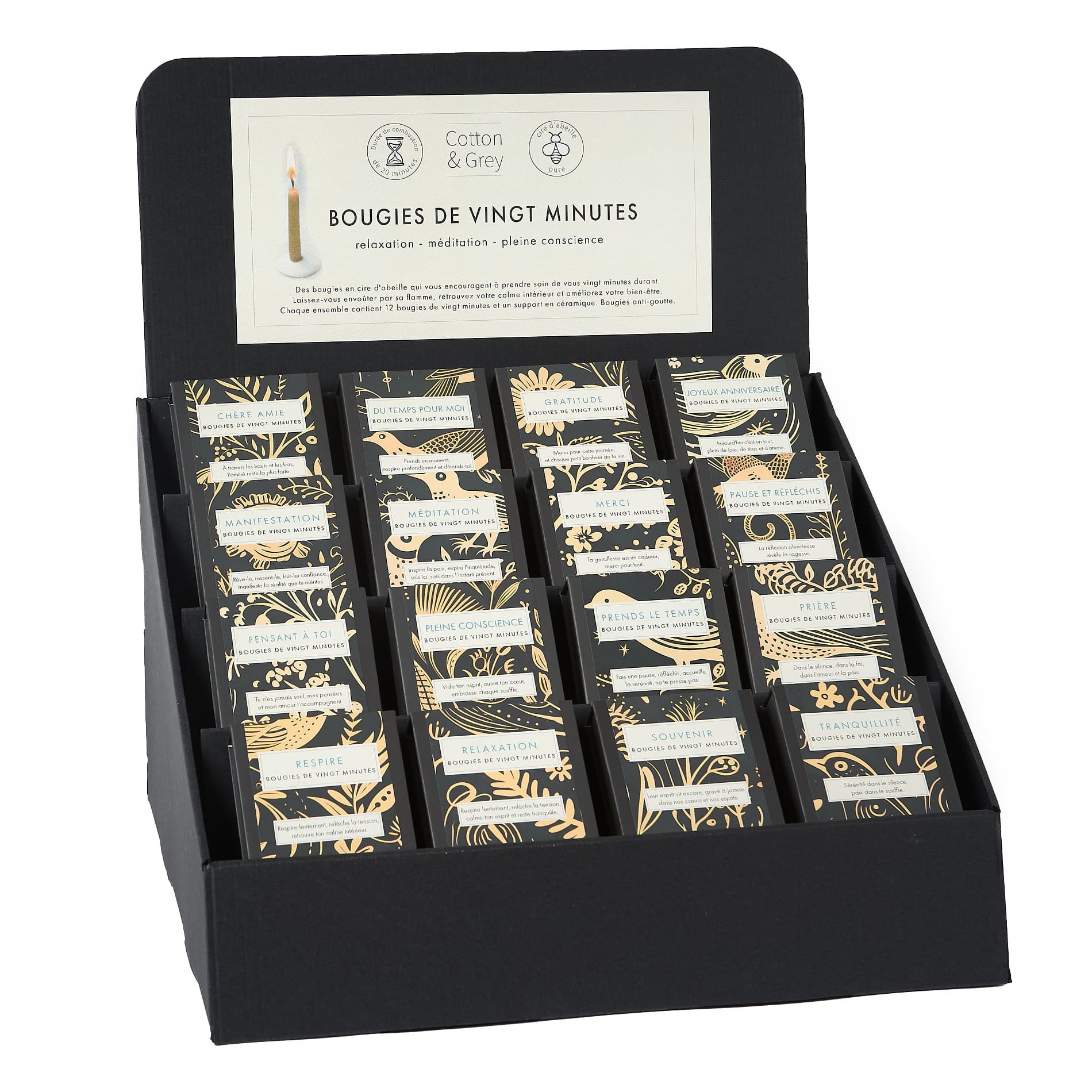 Signature Collection BUNDLE (Folk) FR