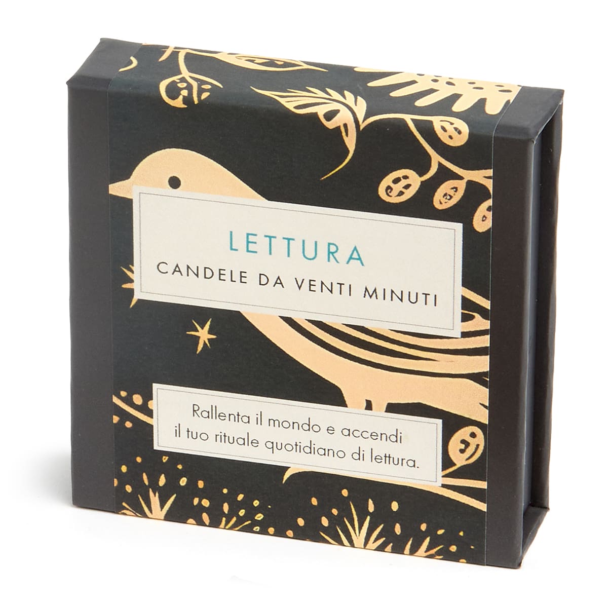 Signature Collection - Reading (Folk) IT