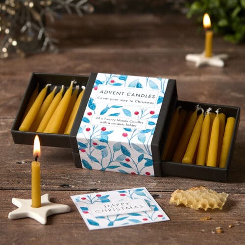 Advent Candles - Berry