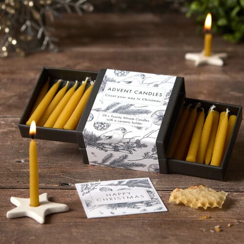 Advent Candles - Clementine