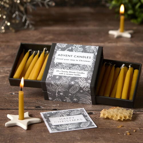 Advent Candles - Pine