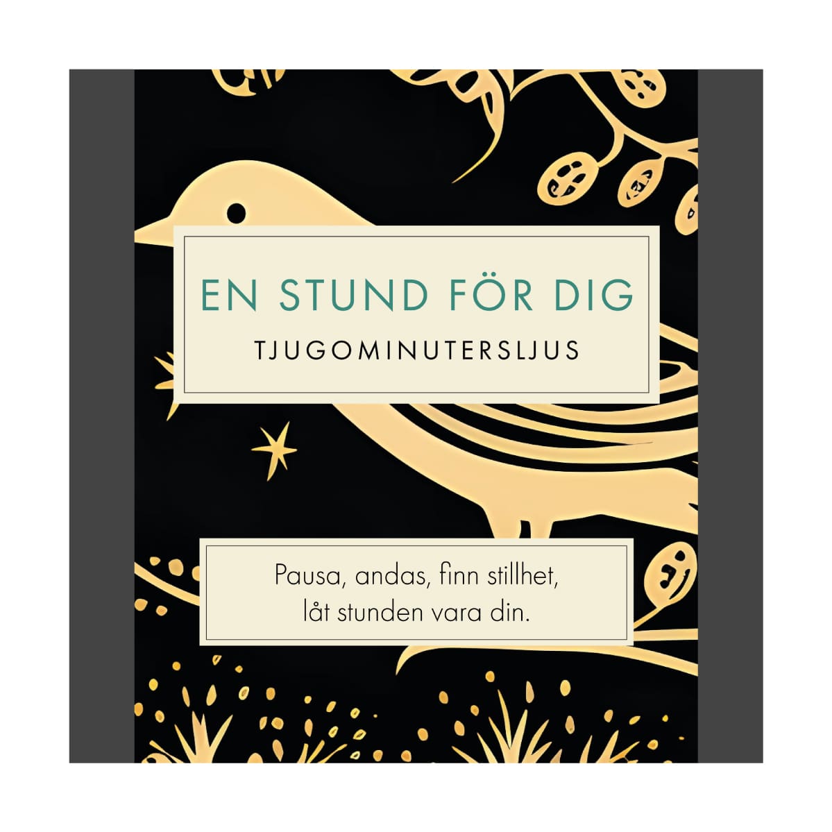 En Stund För Dig (Folk) SV