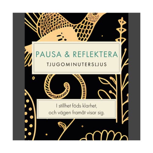 Pausa & Reflektera (Folk) SV
