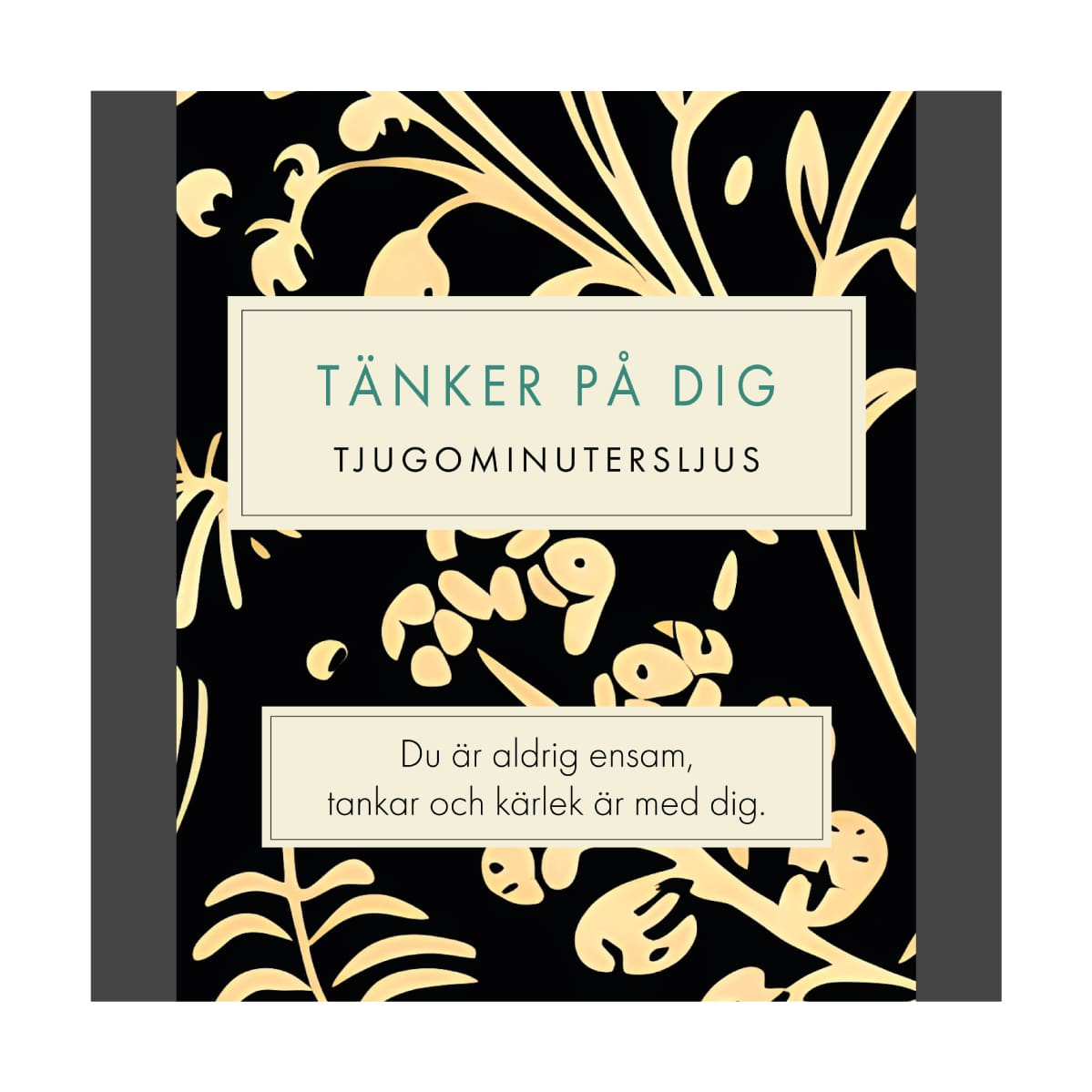 Tänker På Dig (Folk) SV