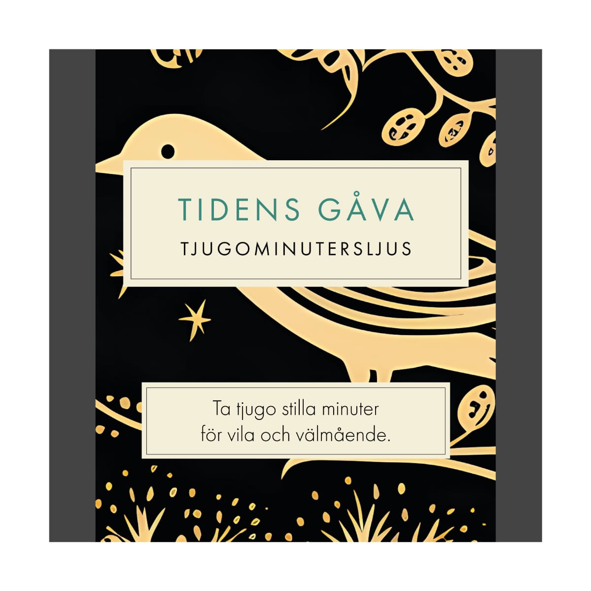 Tidens Gåva (Folk) SV
