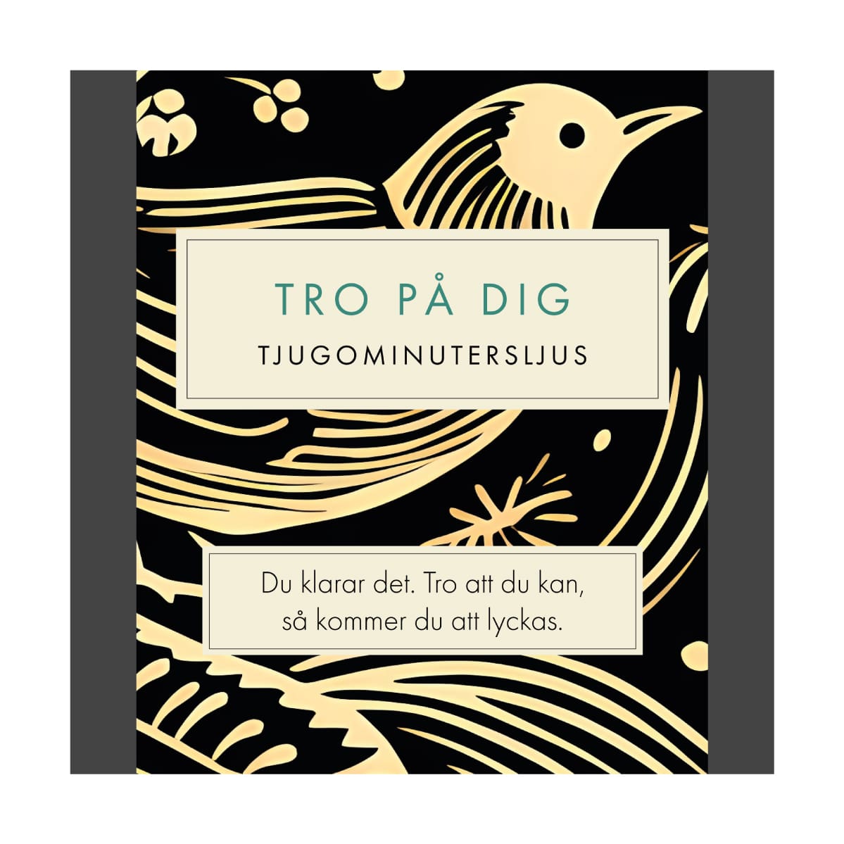Tro På Dig (Folk) SV