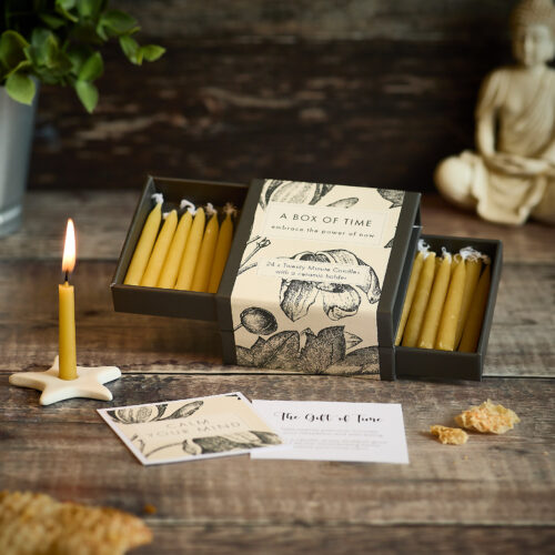 A Box of Time (Botanical) EN