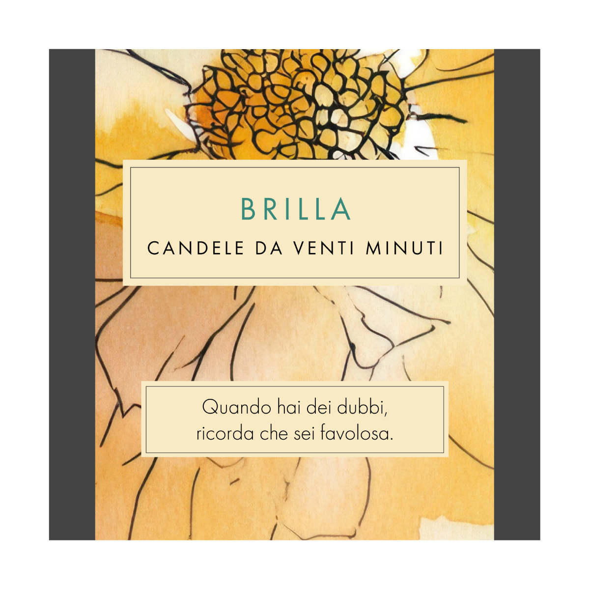 Brilla (Watercolour) IT