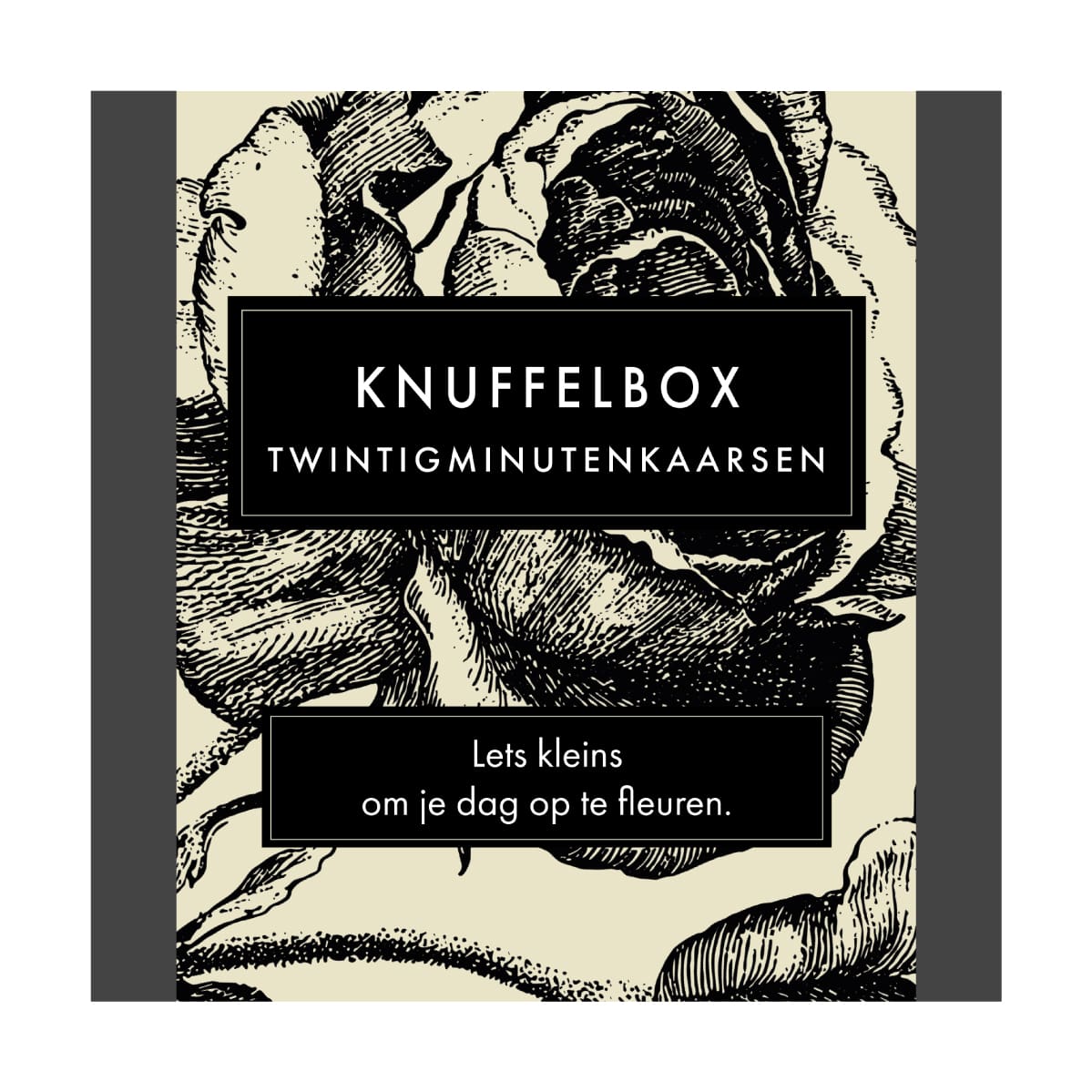 Knuffelbox (Botanical) NL