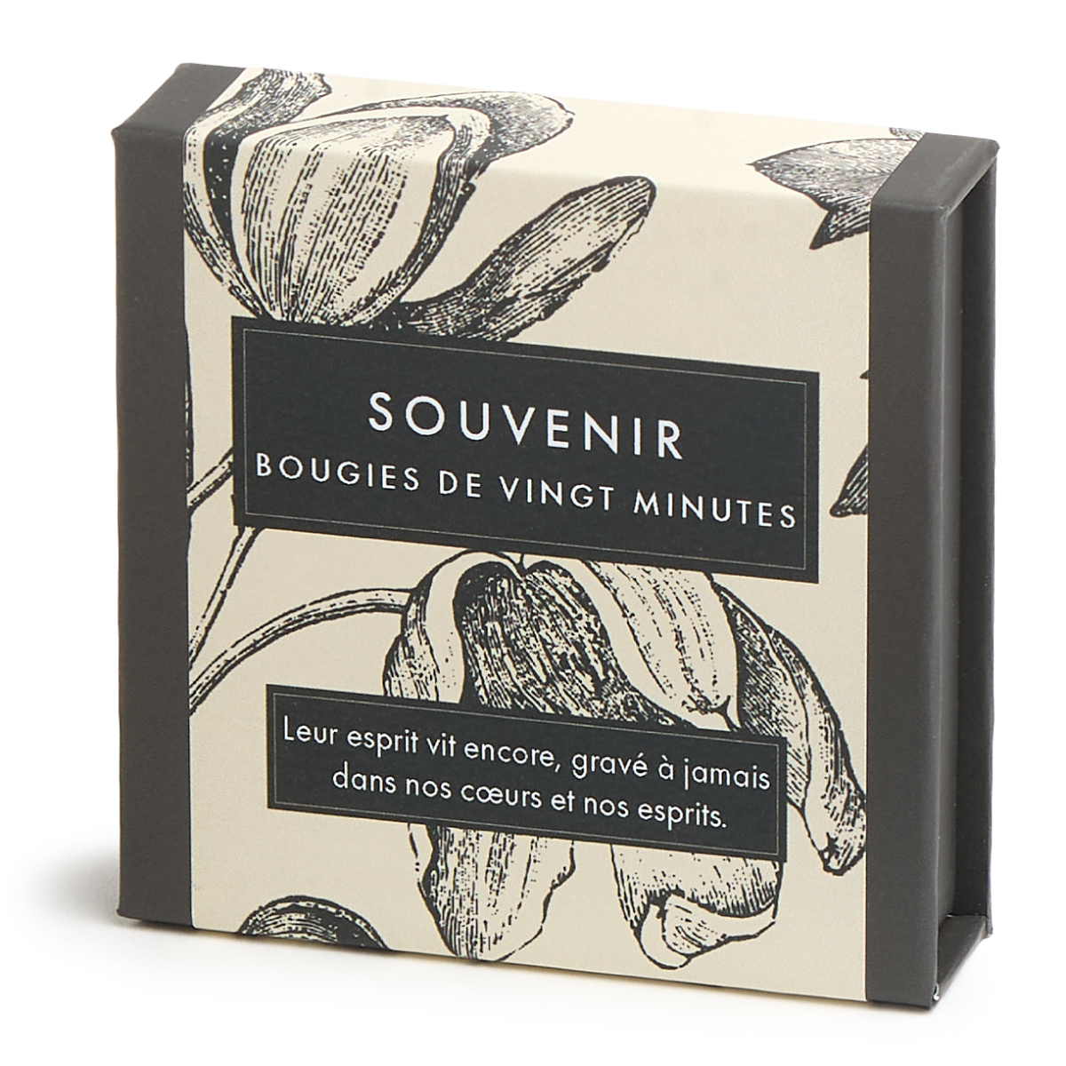 Souvenir (Botanical) FR