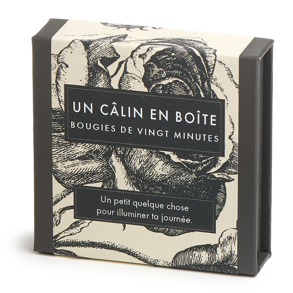 Un Câlin En Boîte (Botanical) FR