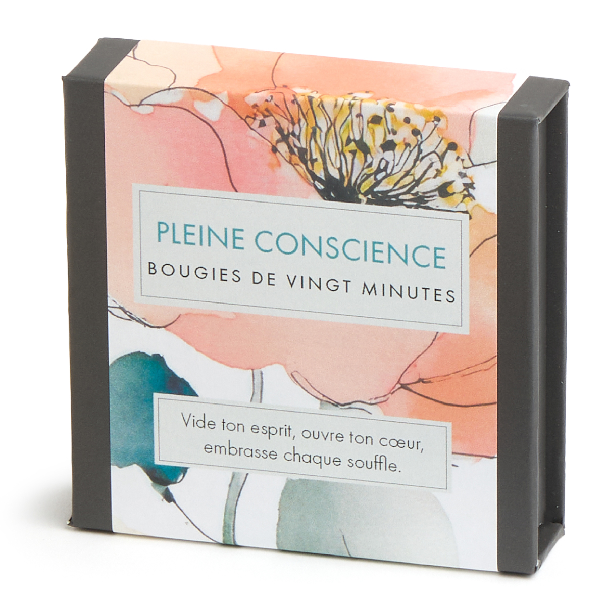 Pleine Conscience (Watercolour) FR