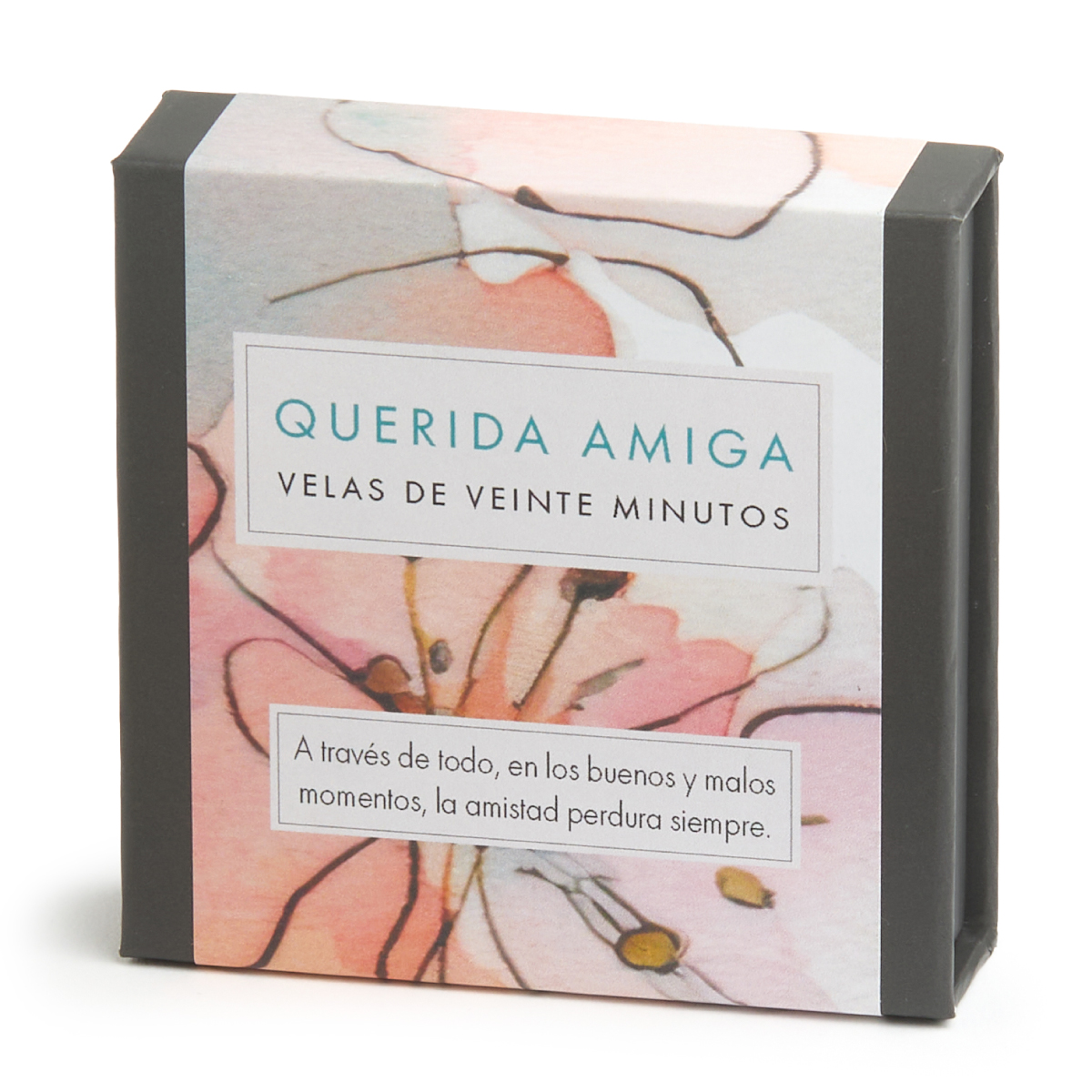 Querida Amiga (Watercolour) ES