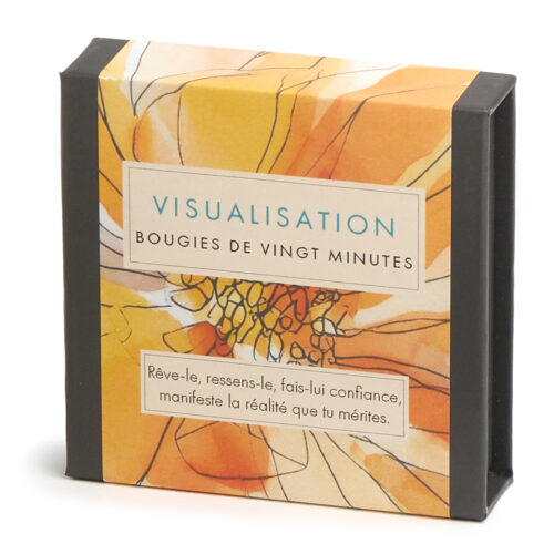 Visualisation (Watercolour) FR