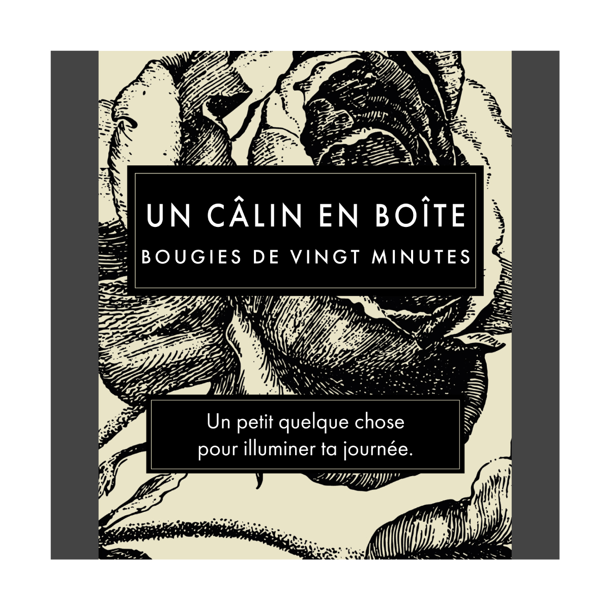 Un Câlin En Boîte (Botanical) FR